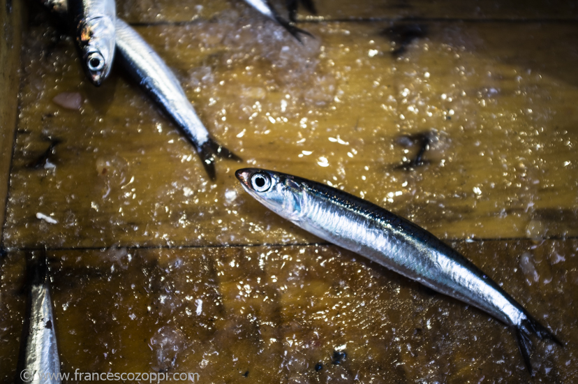 love...love...love anchovies